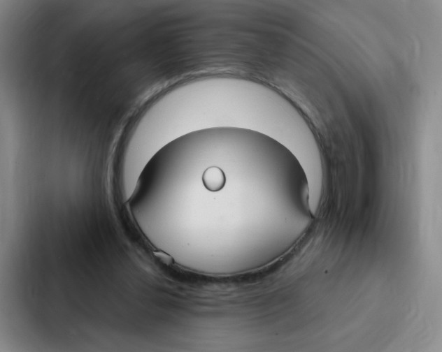 X0000086950252200705141828