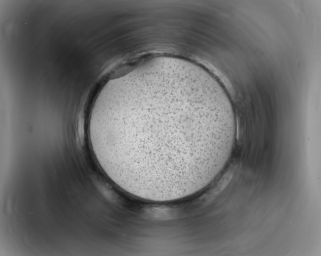 X0000086950253200705141828