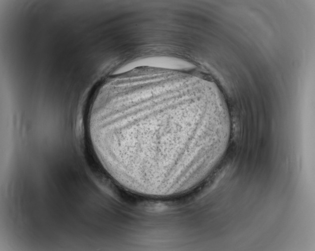 X0000086950254200705141828