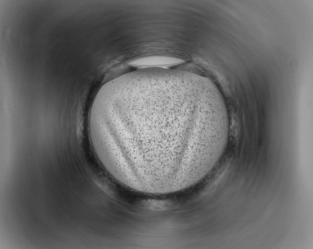 X0000086950255200705141828