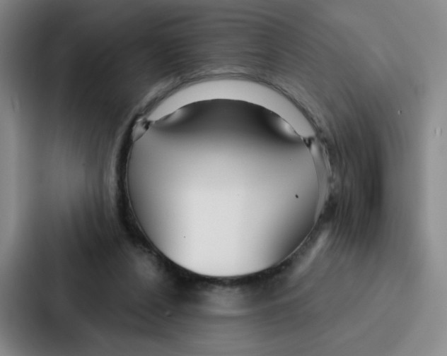 X0000086950256200705141828