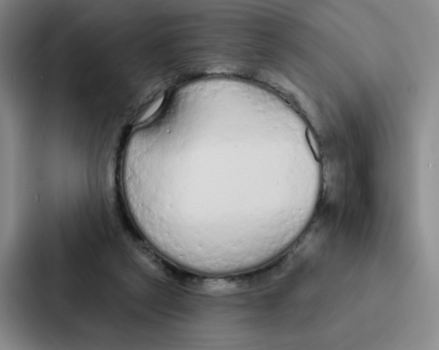 X0000086950257200705141828