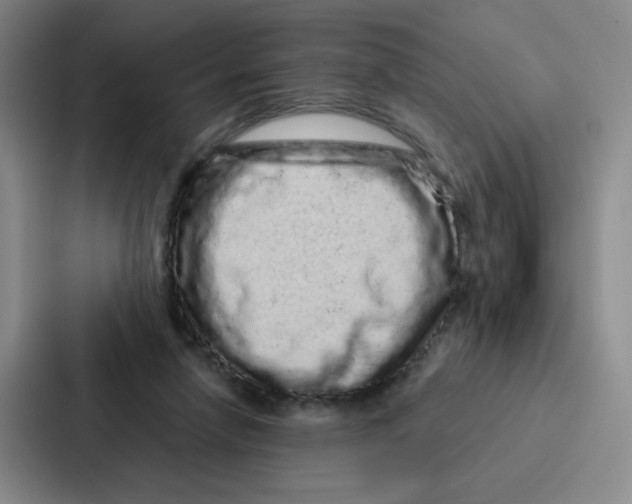 X0000086950258200705141828