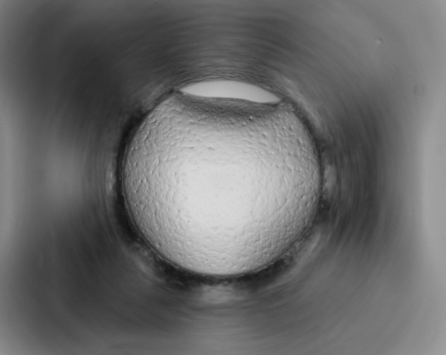 X0000086950259200705141828