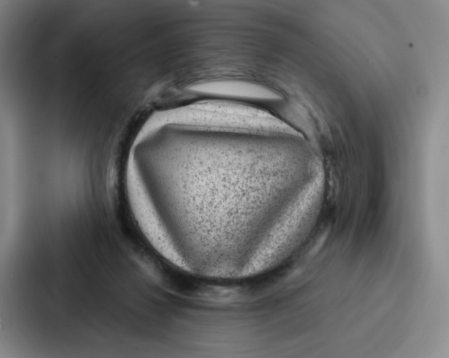 X0000086950260200705141828