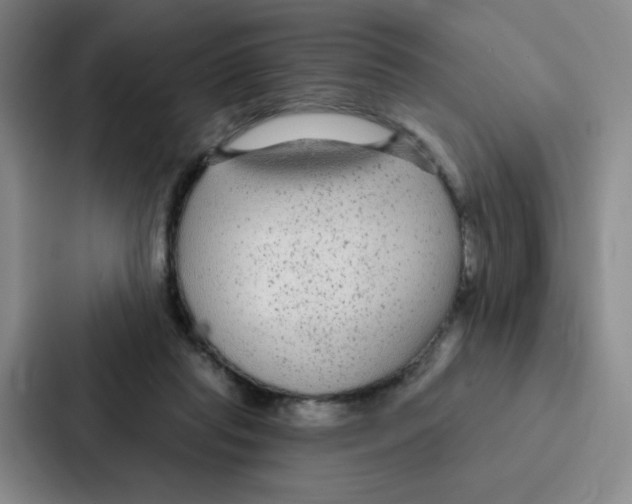 X0000086950261200705141828