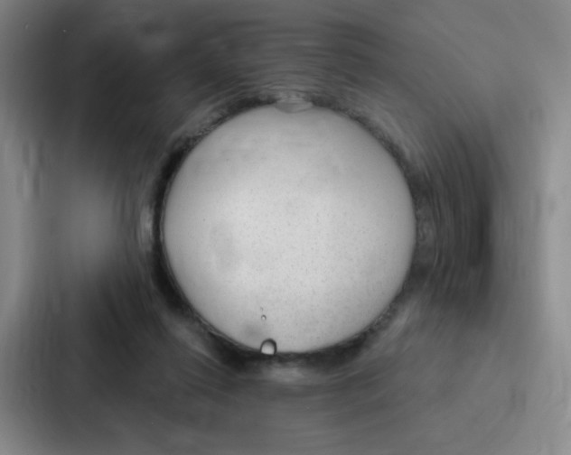 X0000086950262200705141828