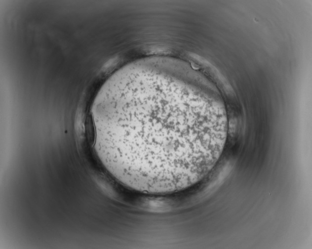 X0000086950264200705141828