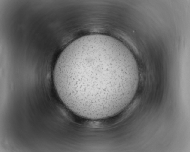 X0000086950265200705141828