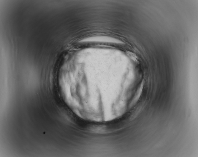 X0000086950266200705141828