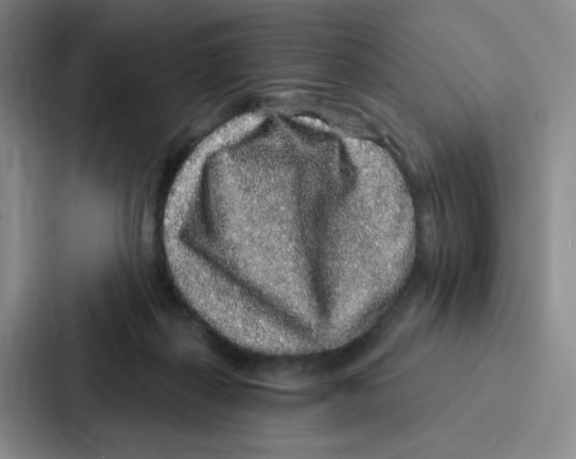 X0000086950267200705141828