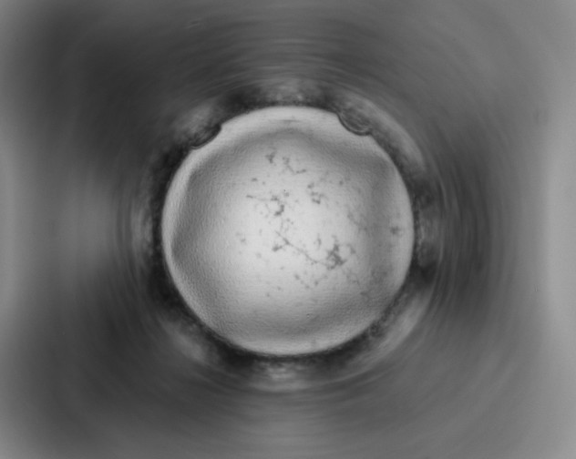 X0000086950268200705141828