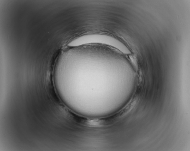 X0000086950269200705141828