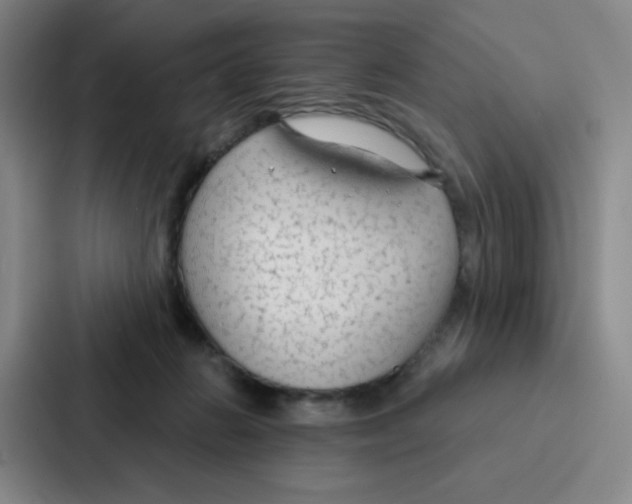 X0000086950270200705141828