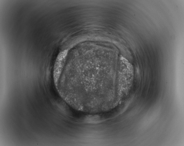 X0000086950271200705141828