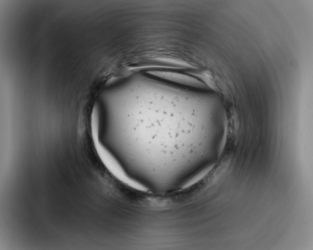 X0000086950272200705141828