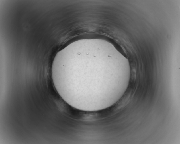 X0000086950274200705141828