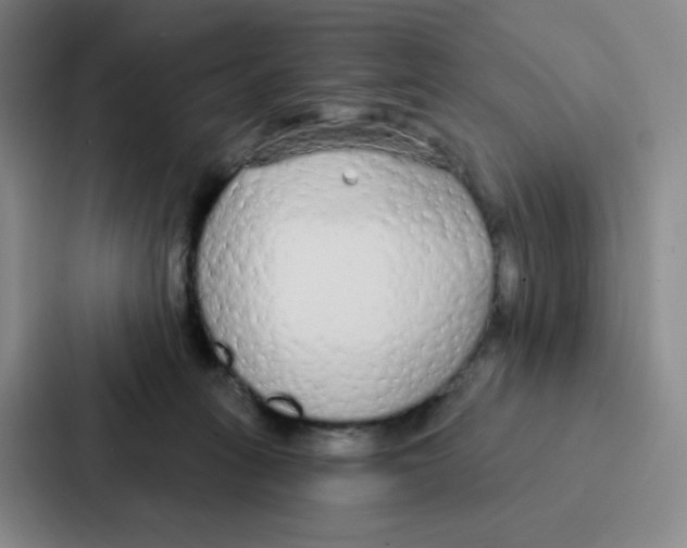 X0000086950275200705141828