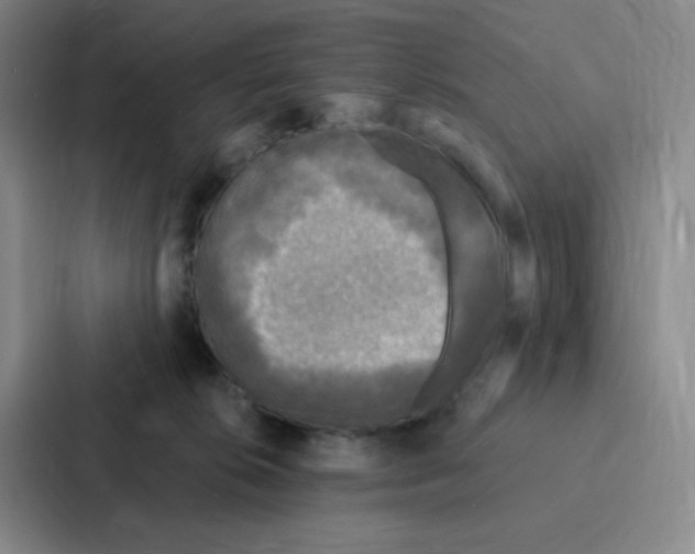 X0000086950276200705141828