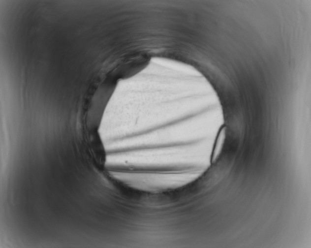 X0000086950277200705141828