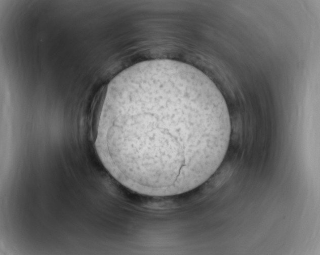 X0000086950278200705141828