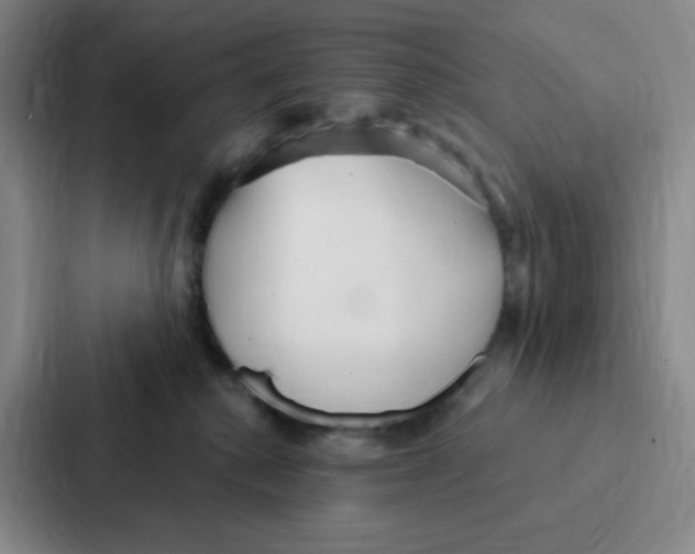 X0000086950280200705141828