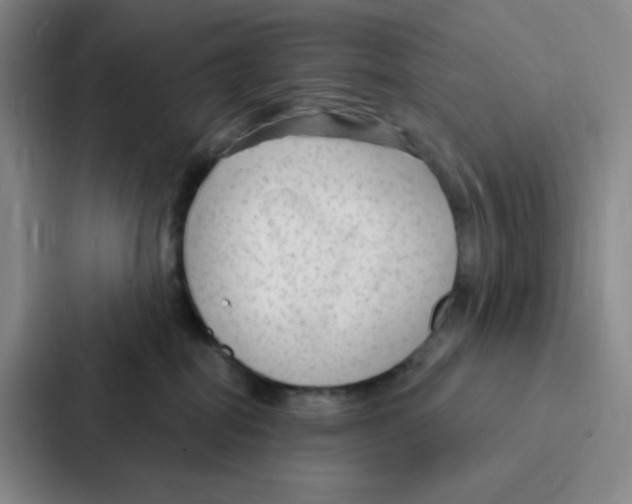 X0000086950282200705141828