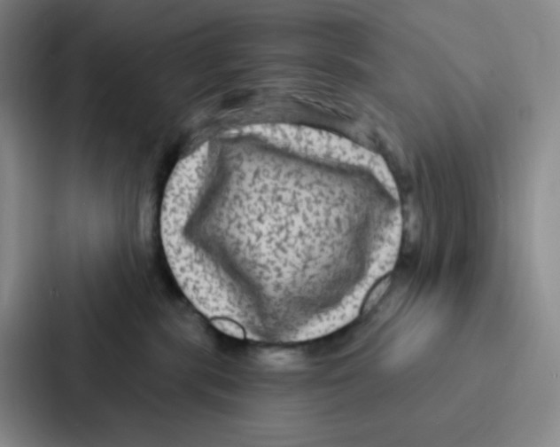 X0000086950283200705141828