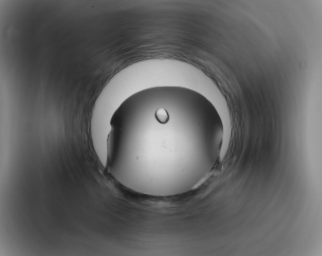 X0000086950284200705141828