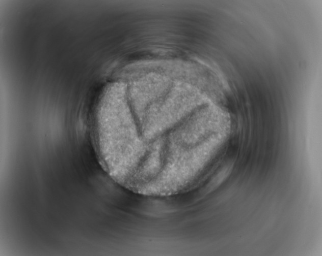 X0000086950285200705141828