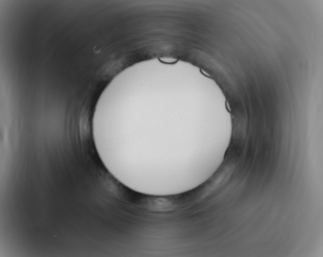 X0000086950287200705141828