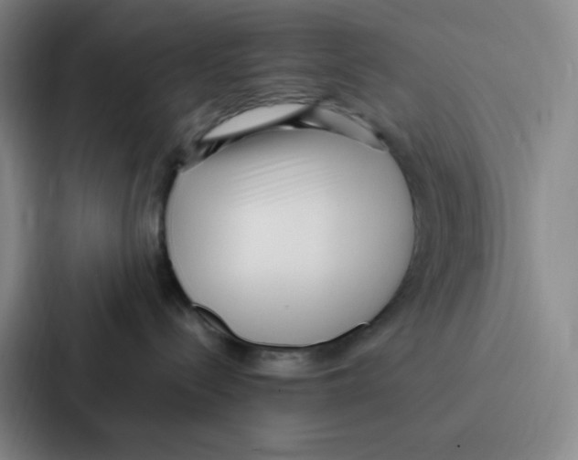 X0000086950288200705141828