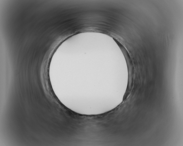 X0000086950289200705141828