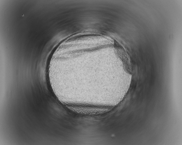 X0000086950290200705141827