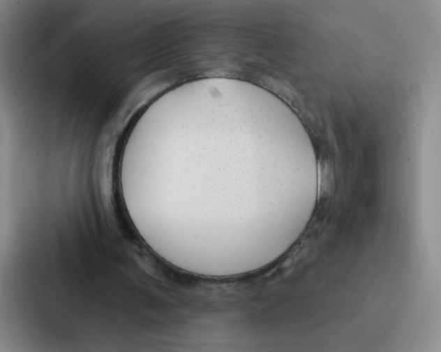 X0000086950291200705141827