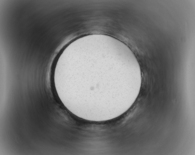 X0000086950292200705141827