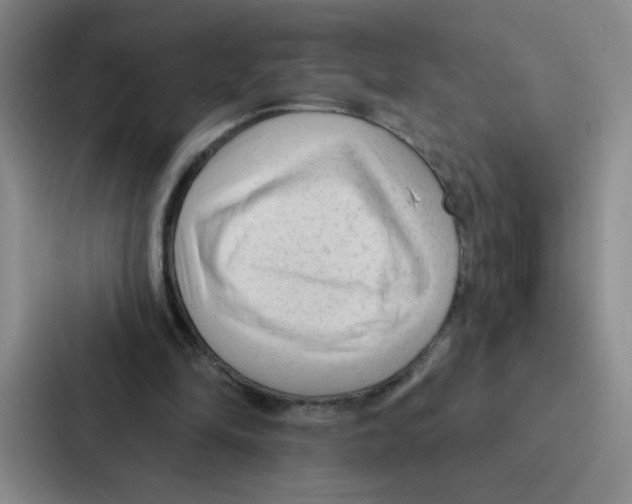 X0000086950294200705141827