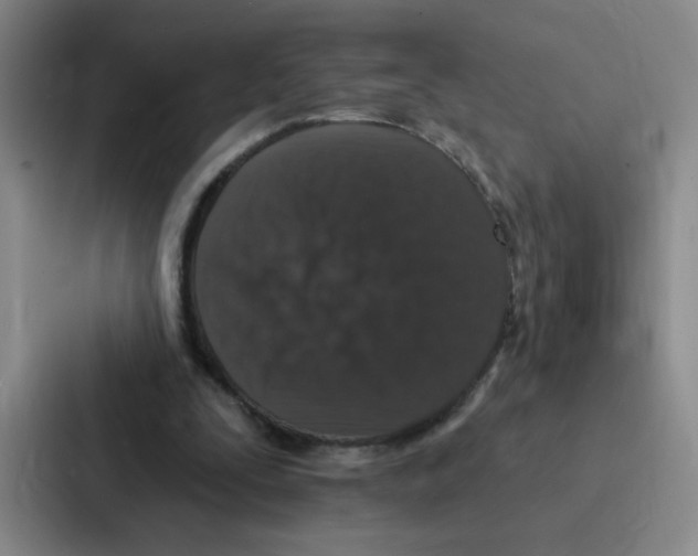 X0000086950295200705141827