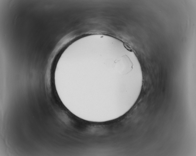 X0000086950296200705141827