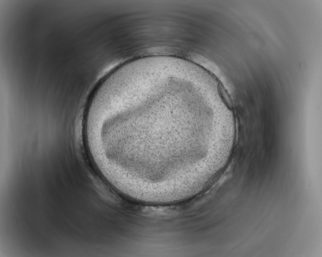 X0000086950297200705141827