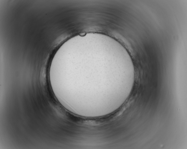 X0000086950298200705141827