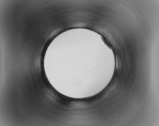 X0000086950300200705141827