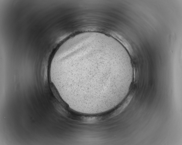 X0000086950301200705141827