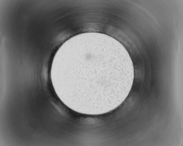 X0000086950302200705141827