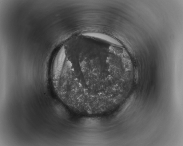 X0000086950303200705141827