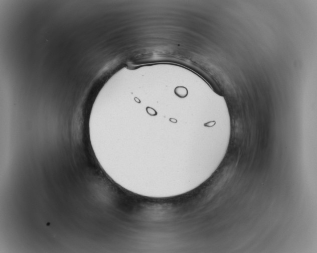 X0000086950304200705141827