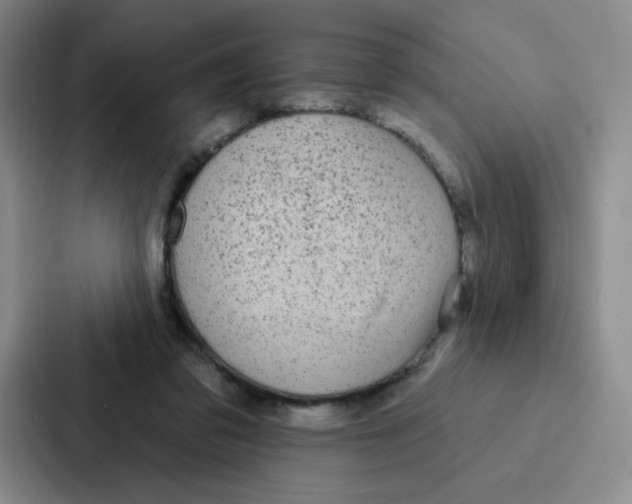 X0000086950309200705141827