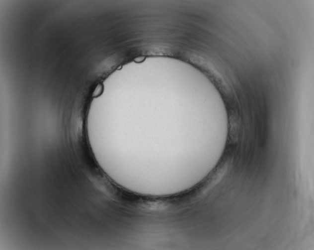 X0000086950310200705141827