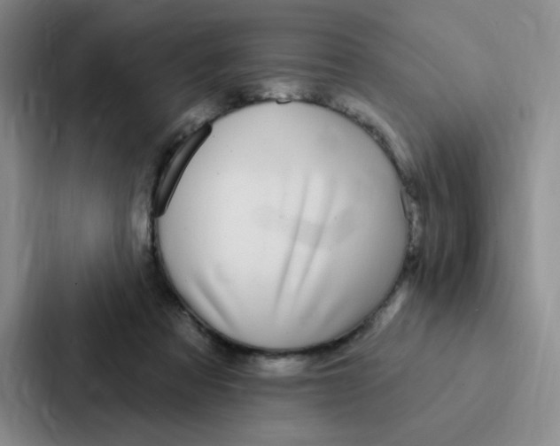 X0000086950313200705141827