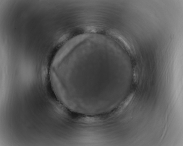 X0000086950314200705141827